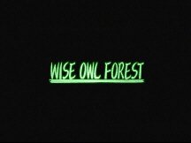 Wise Owl Forest